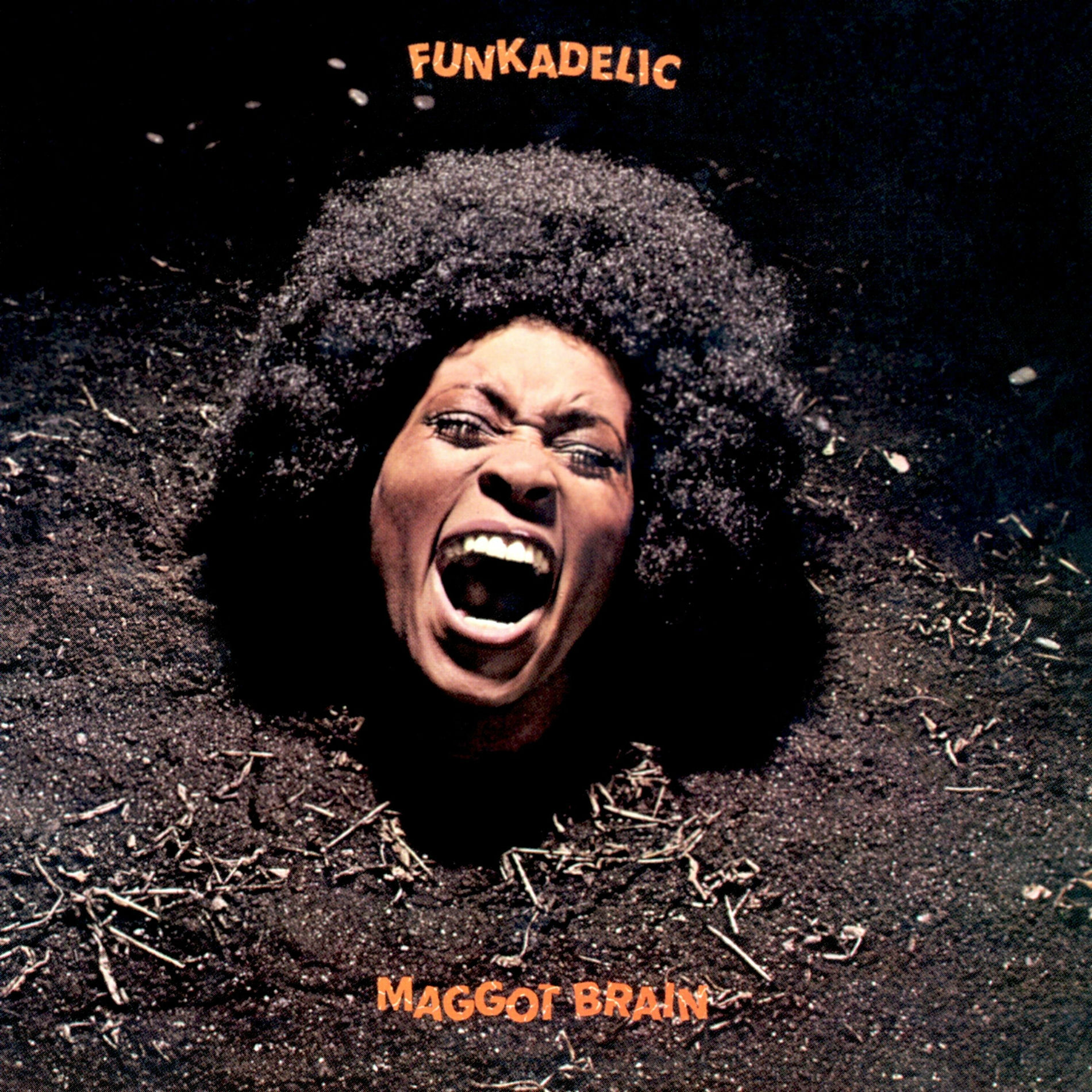 Funkadelic - Maggot Brain (1971)
Joel Brodsky